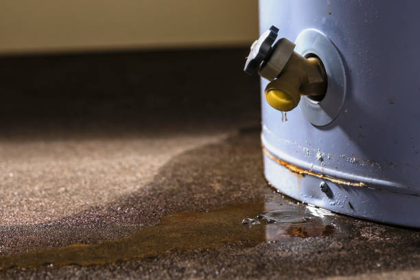 Carpet water damage restoration in Fortuna, CA