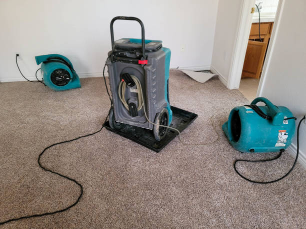Best Carpet water damage restoration  in Fortuna, CA