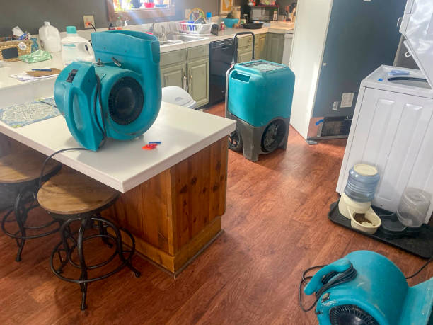 Best Sewage cleanup and water damage restoration  in Fortuna, CA