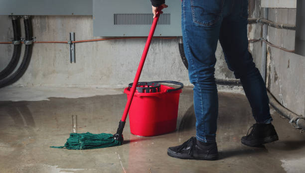 Best Basement water damage restoration  in Fortuna, CA