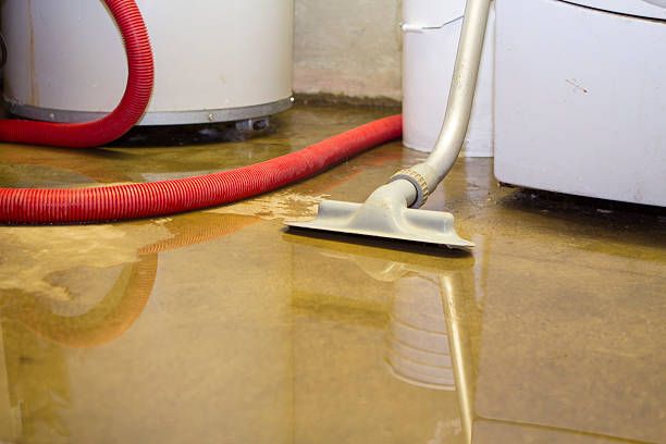 Best Local water damage restoration  in Fortuna, CA
