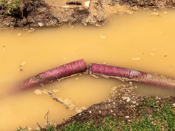 Best Residential water damage restoration  in Fortuna, CA