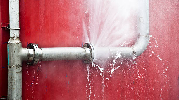 Best Water damage contractors near me  in Fortuna, CA